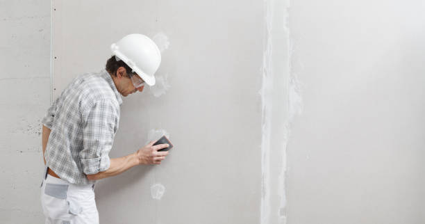 Reliable Gonzales, CA Painting & Drywall Installation Solutions